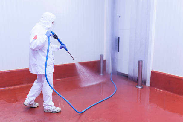 Professional Pressure Washing Services in Thatcher, UT